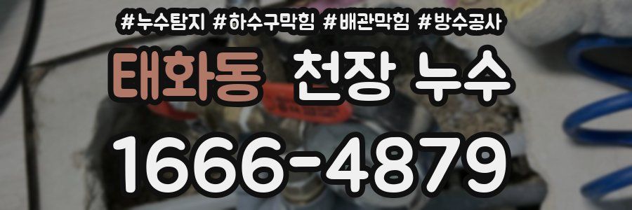 태화동 천장 누수