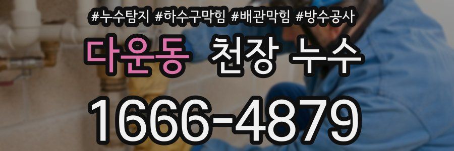 다운동 천장 누수