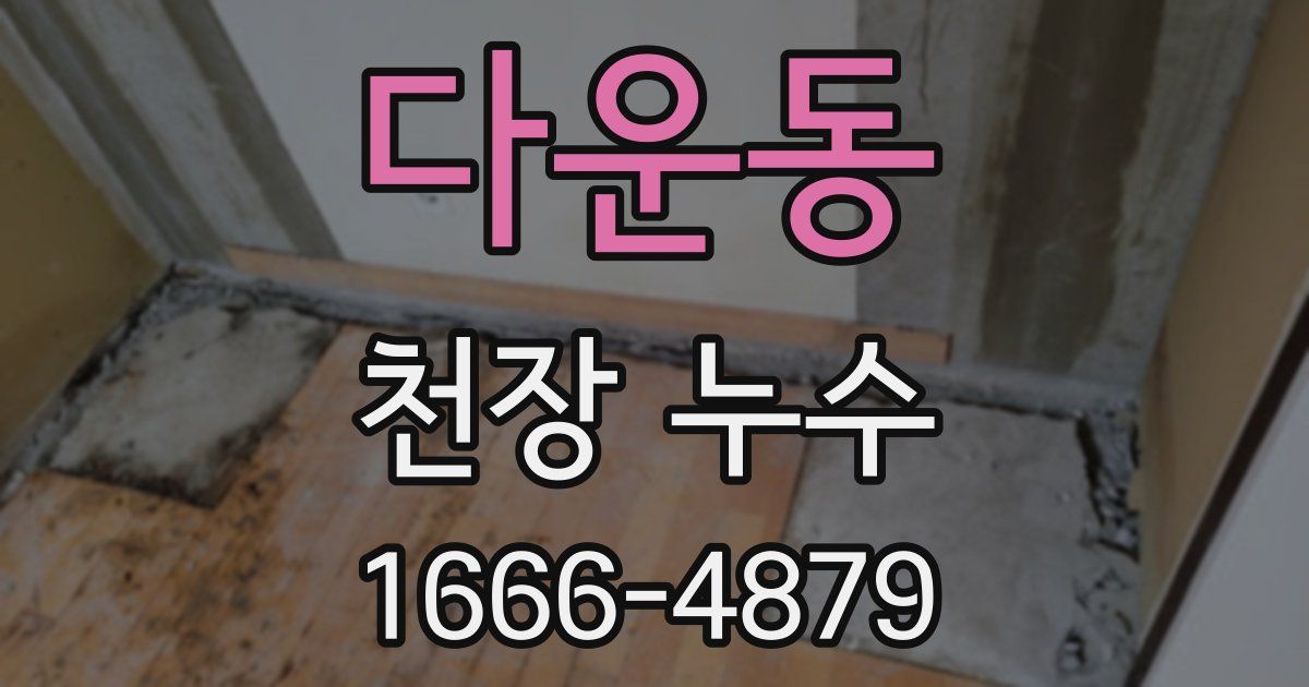 다운동 천장 누수