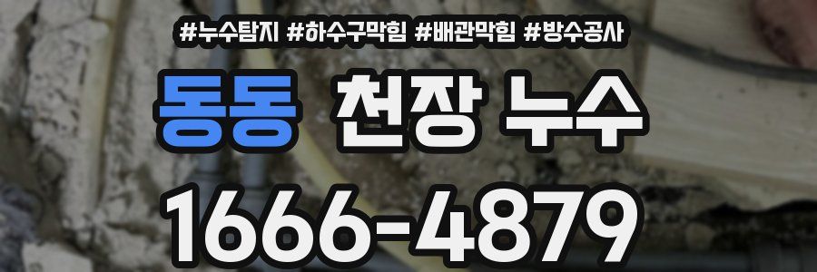 동동 천장 누수