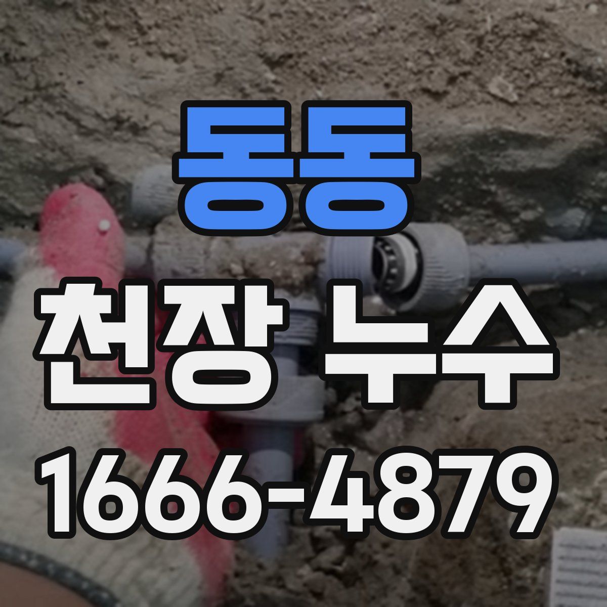 동동 천장 누수