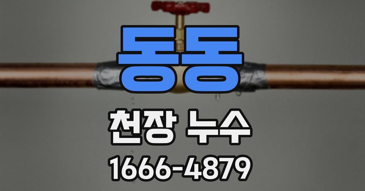 동동 천장 누수