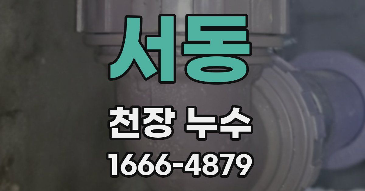 서동 천장 누수