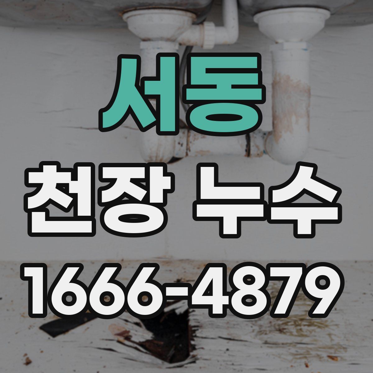서동 천장 누수