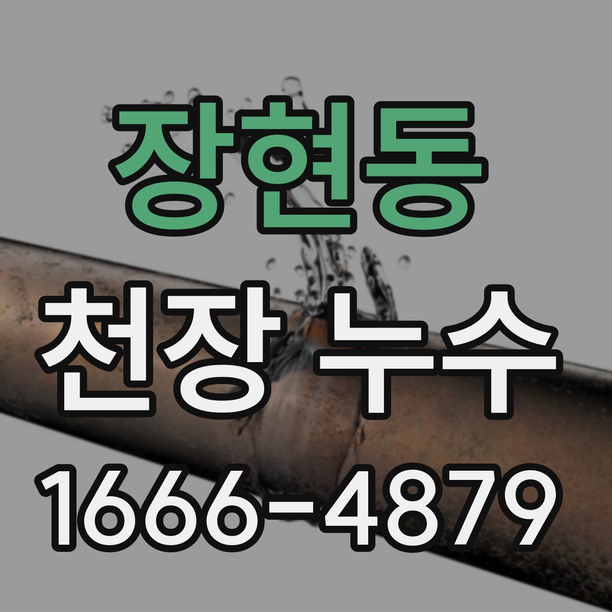 장현동 천장 누수