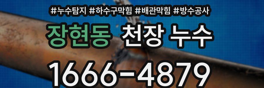장현동 천장 누수
