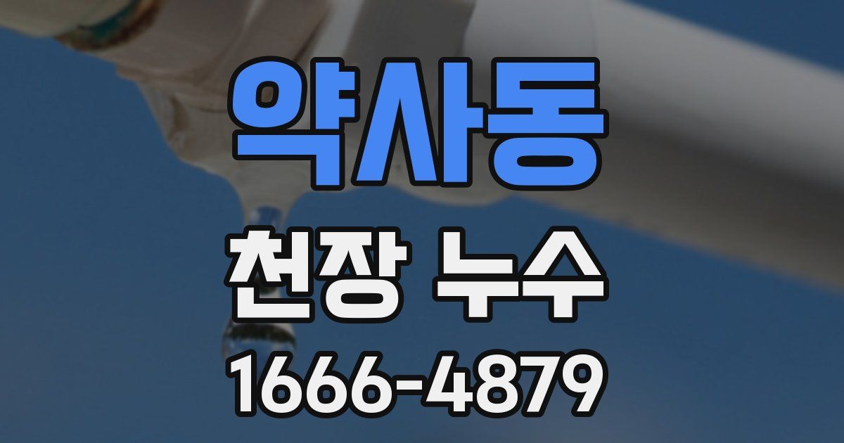약사동 천장 누수