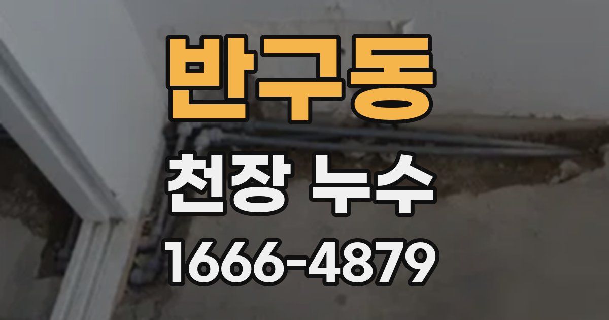반구동 천장 누수