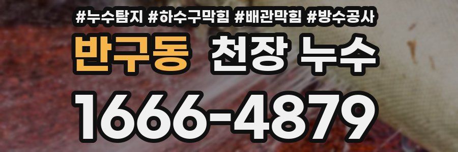 반구동 천장 누수