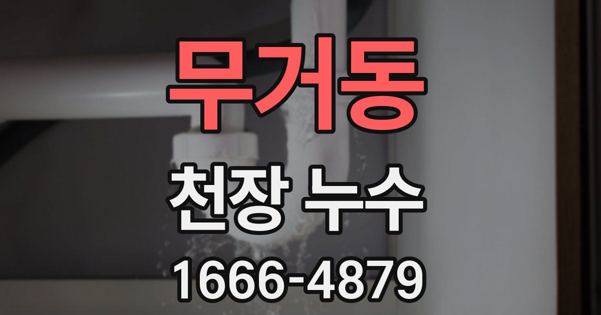 무거동 천장 누수