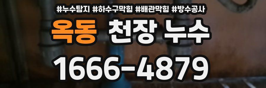 옥동 천장 누수