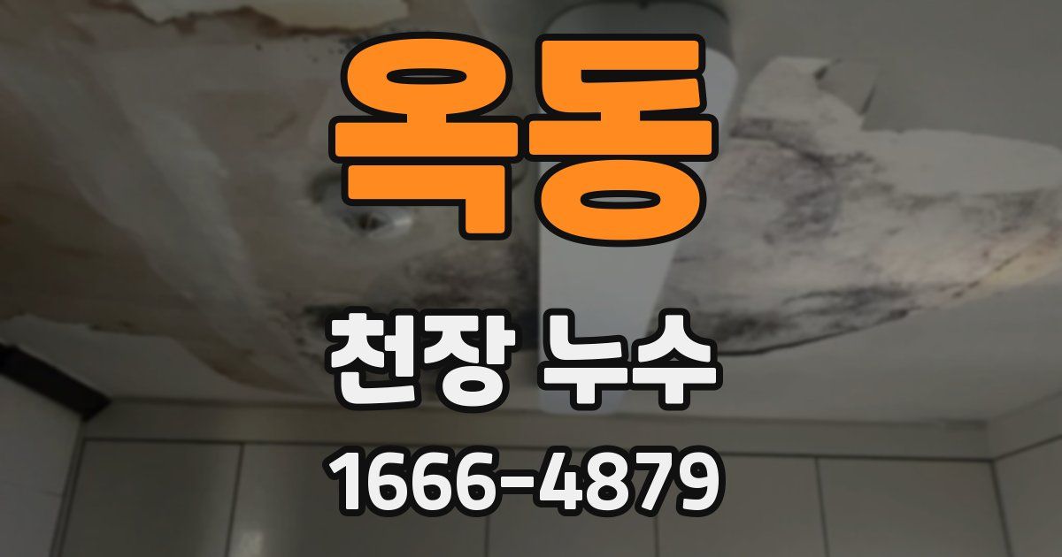 옥동 천장 누수