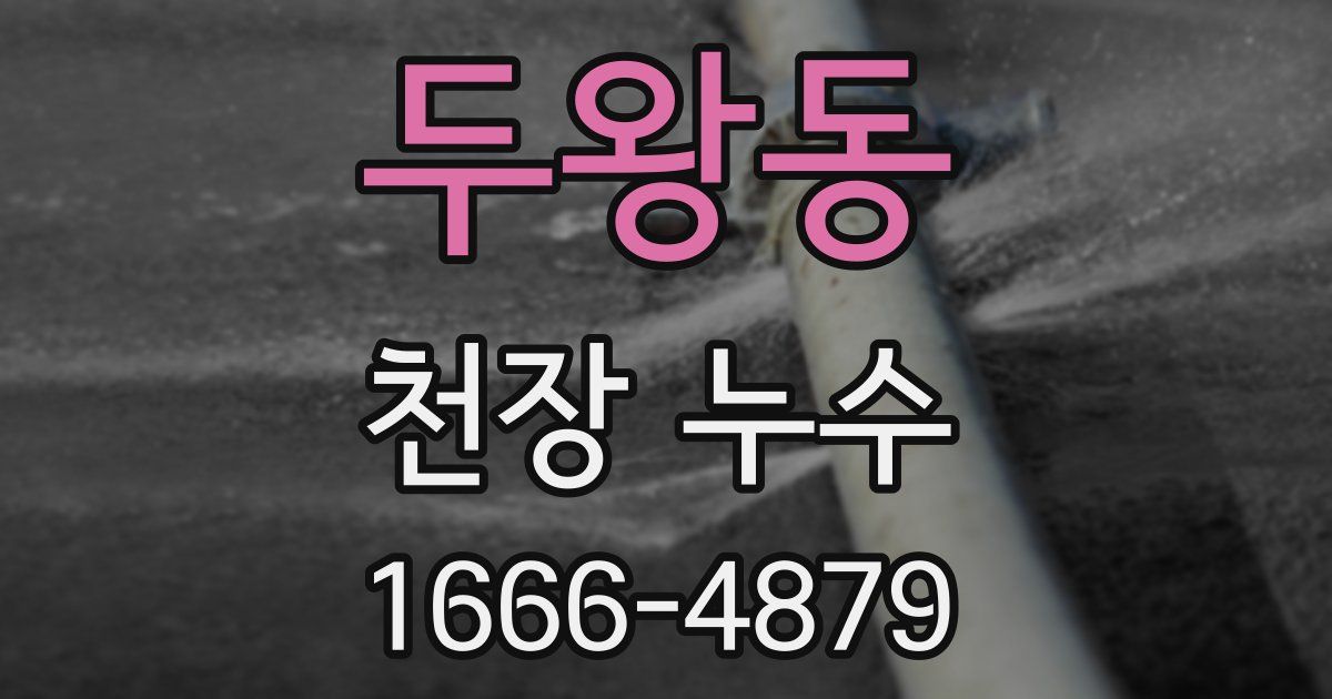 두왕동 천장 누수