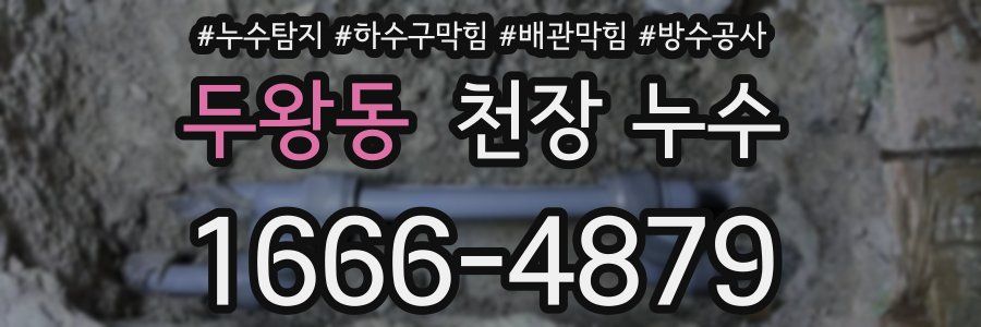 두왕동 천장 누수