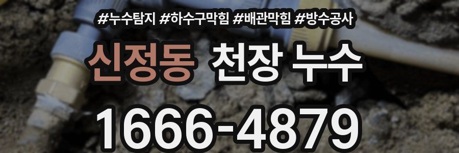 신정동 천장 누수