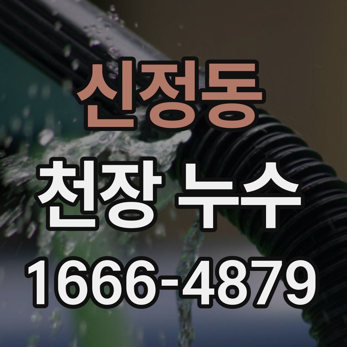 신정동 천장 누수