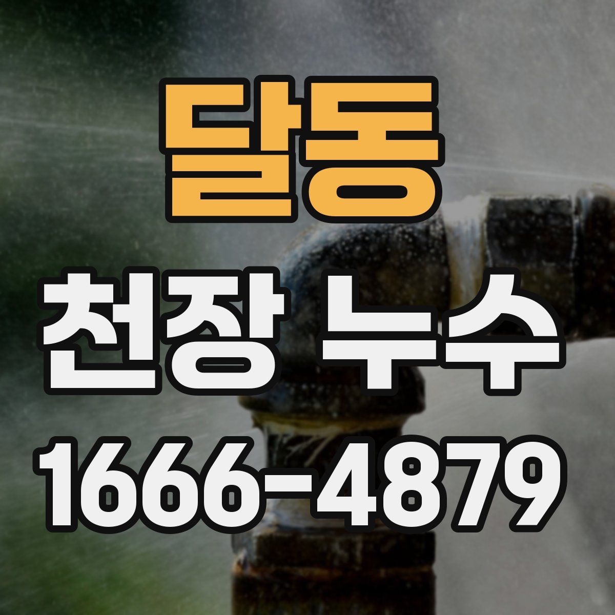 달동 천장 누수