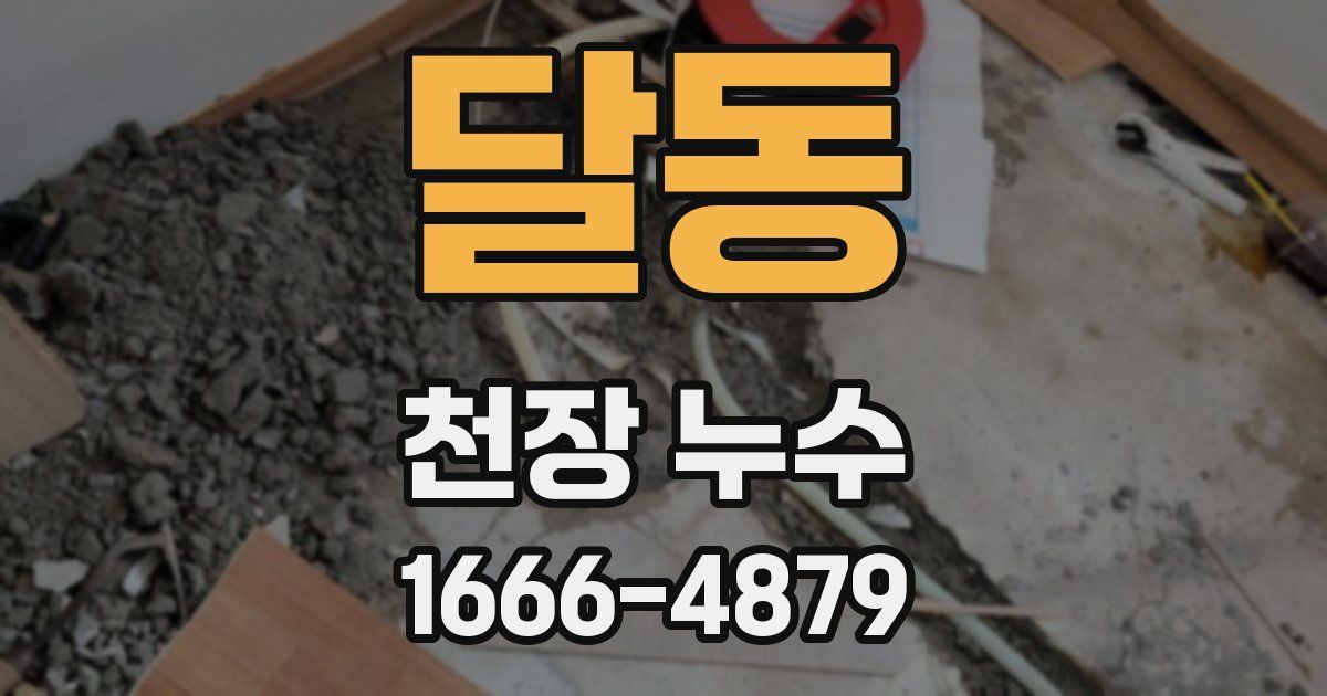 달동 천장 누수