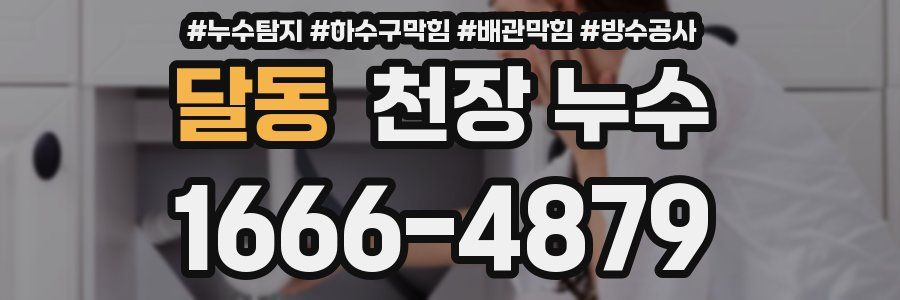 달동 천장 누수