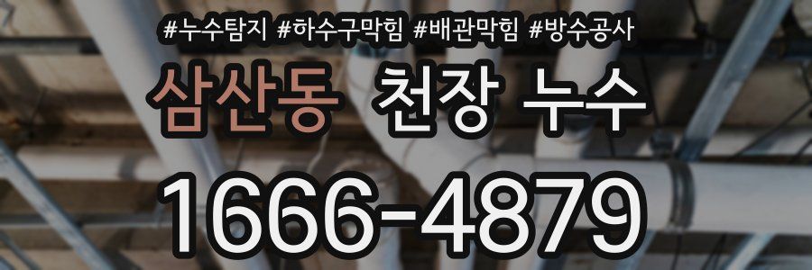 삼산동 천장 누수