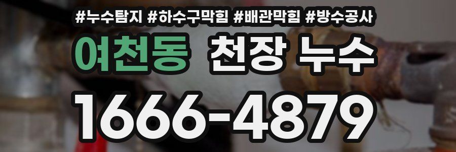 여천동 천장 누수