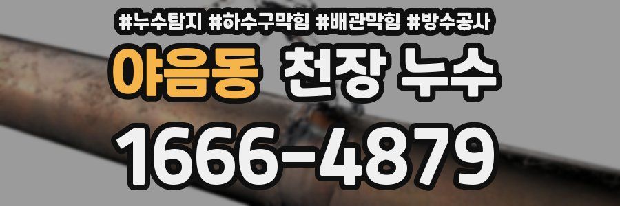 야음동 천장 누수
