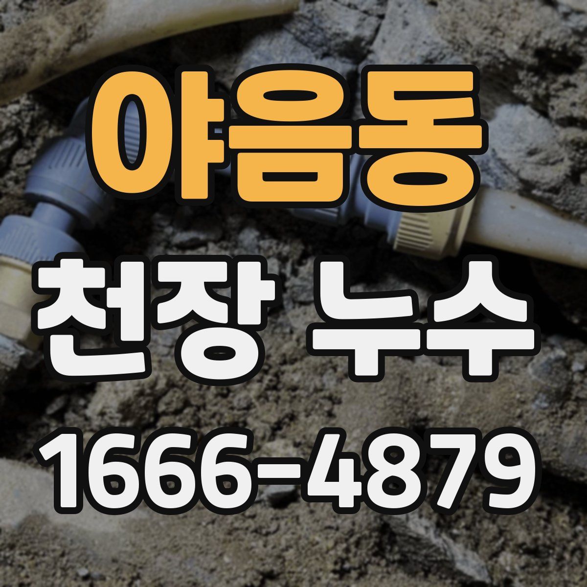 야음동 천장 누수