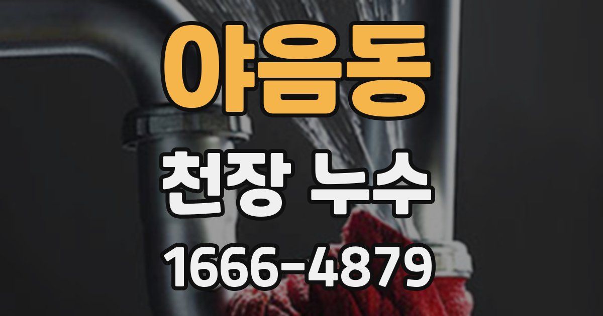 야음동 천장 누수