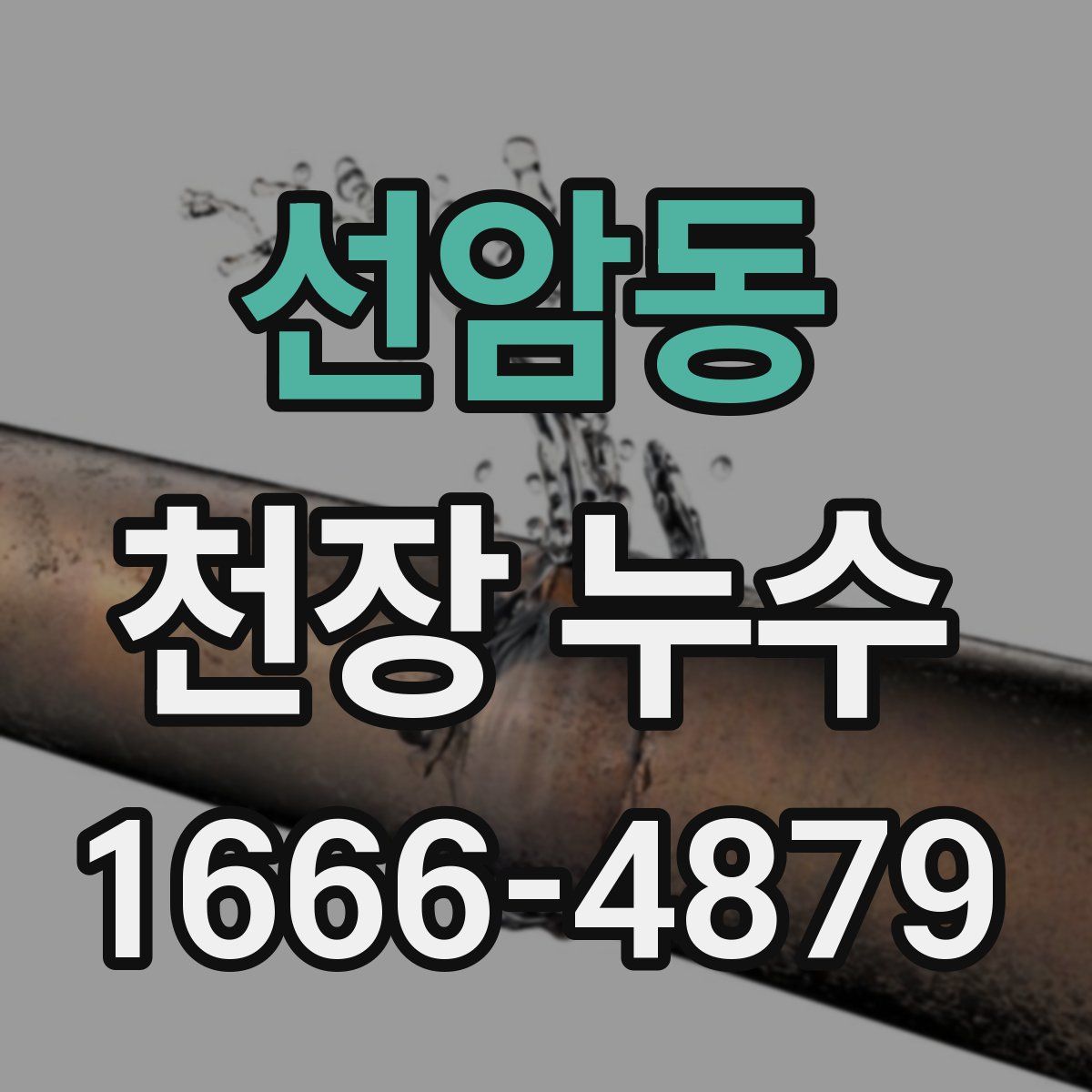 선암동 천장 누수