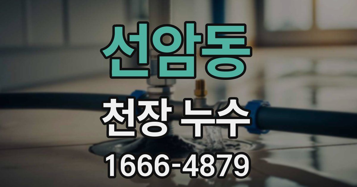 선암동 천장 누수