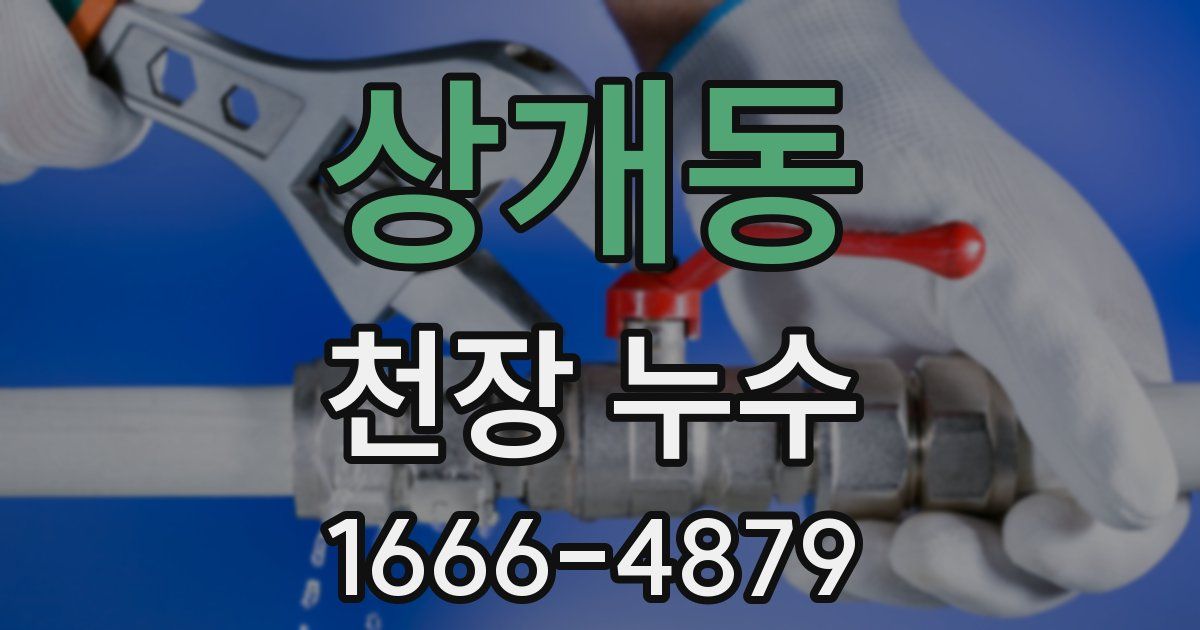 상개동 천장 누수