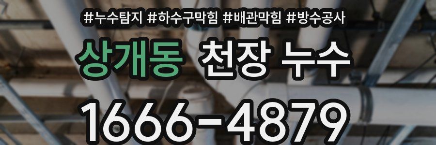 상개동 천장 누수