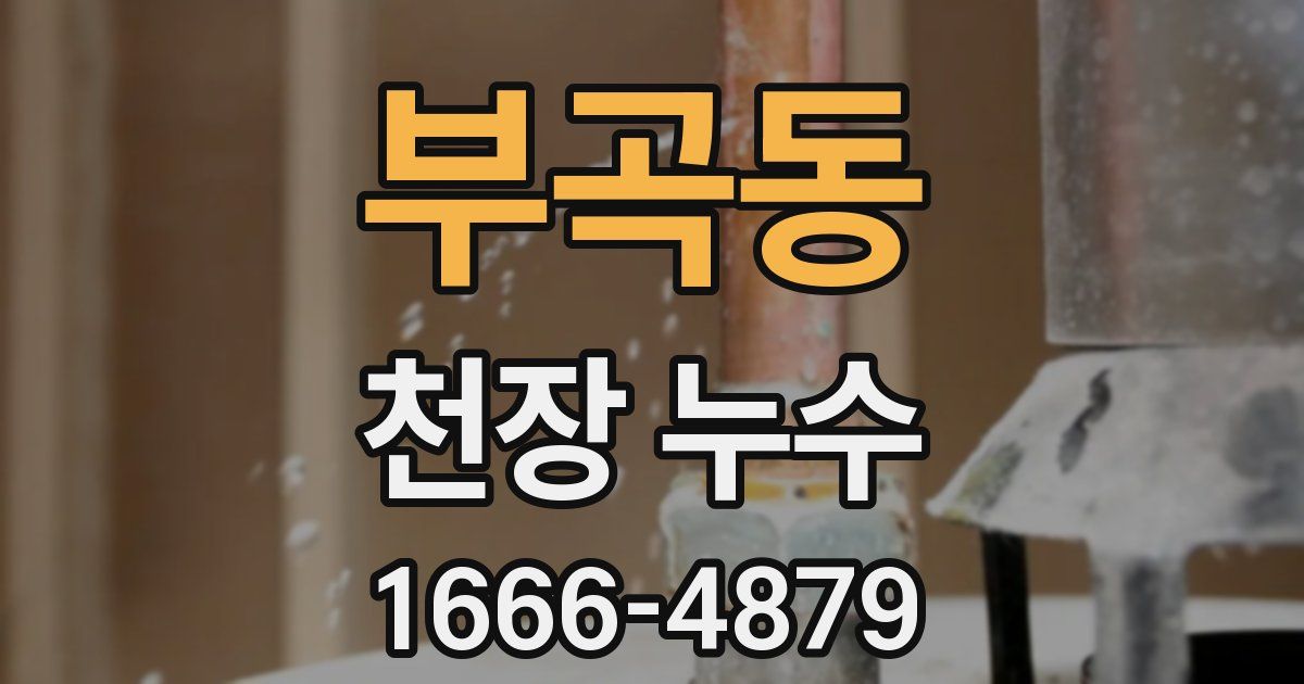 부곡동 천장 누수