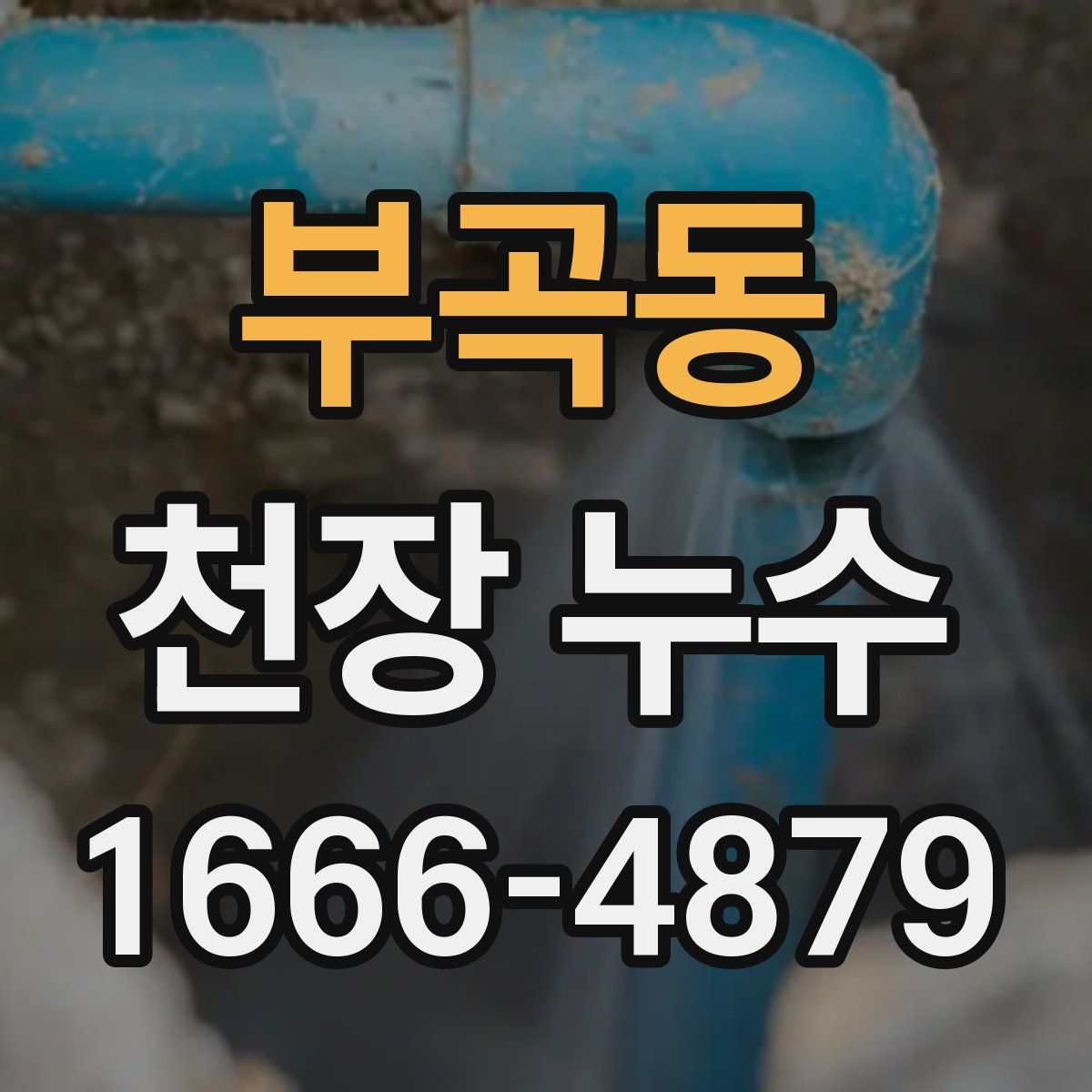 부곡동 천장 누수