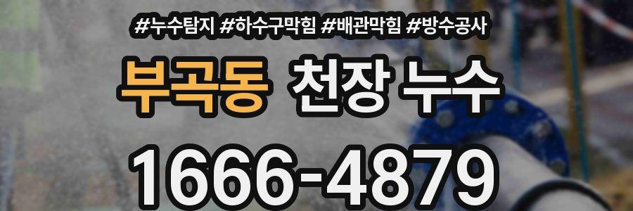 부곡동 천장 누수