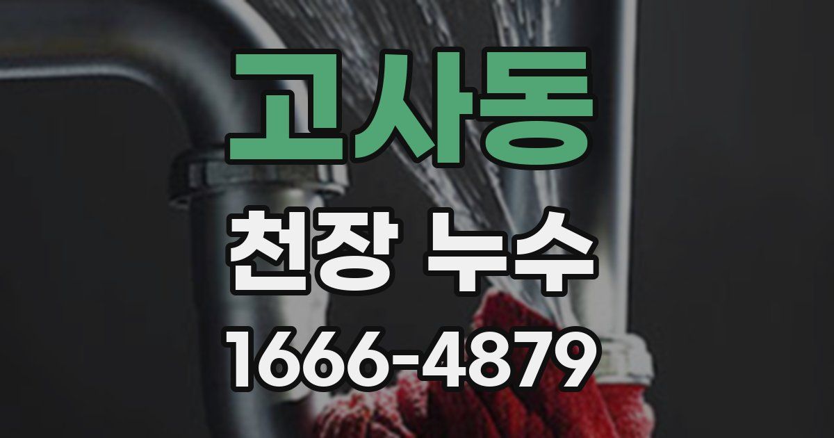 고사동 천장 누수