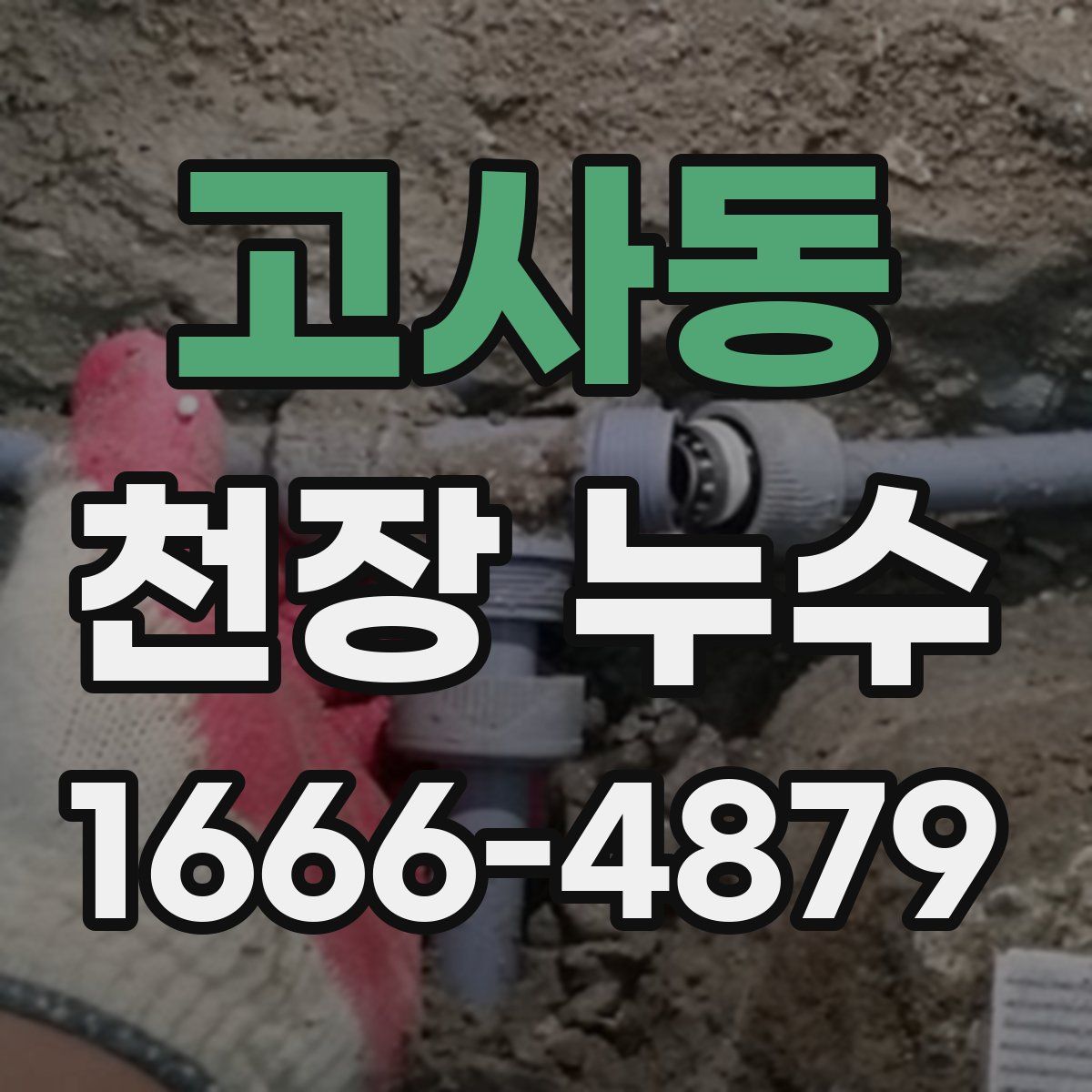 고사동 천장 누수