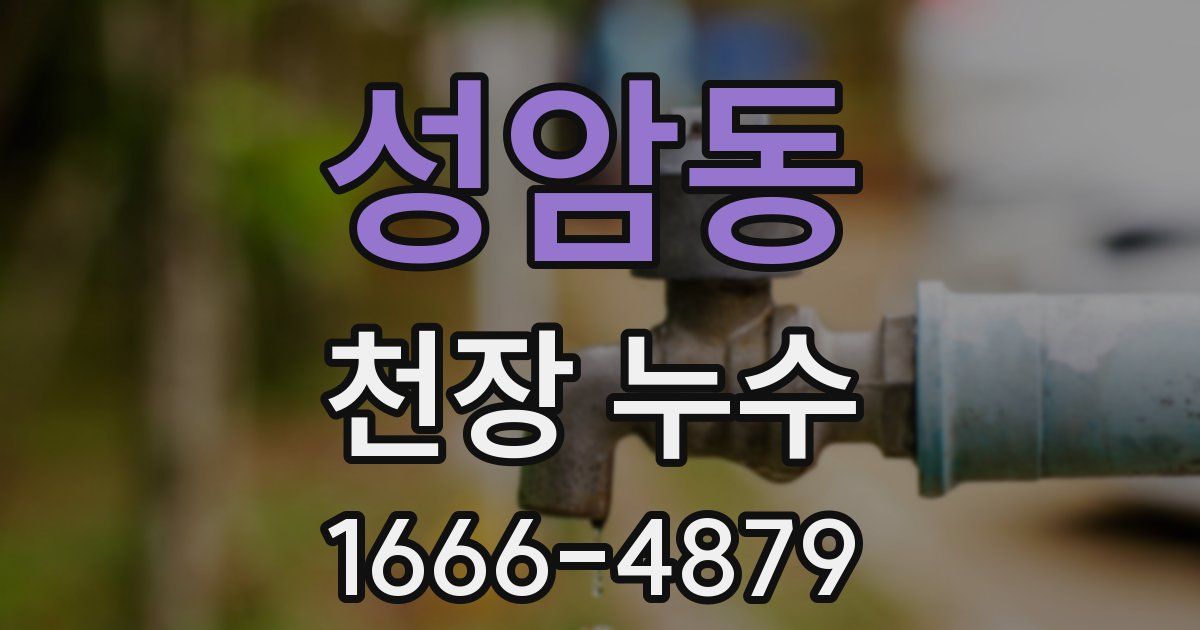성암동 천장 누수