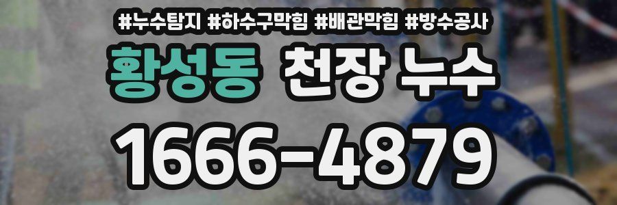 황성동 천장 누수
