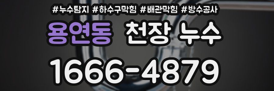 용연동 천장 누수