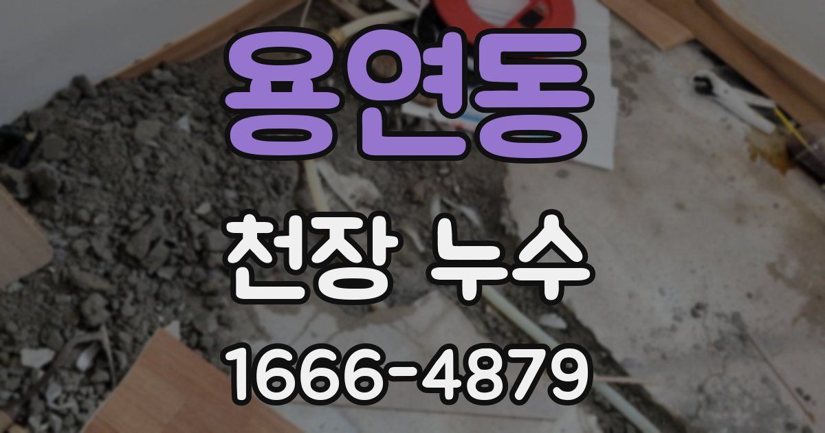 용연동 천장 누수
