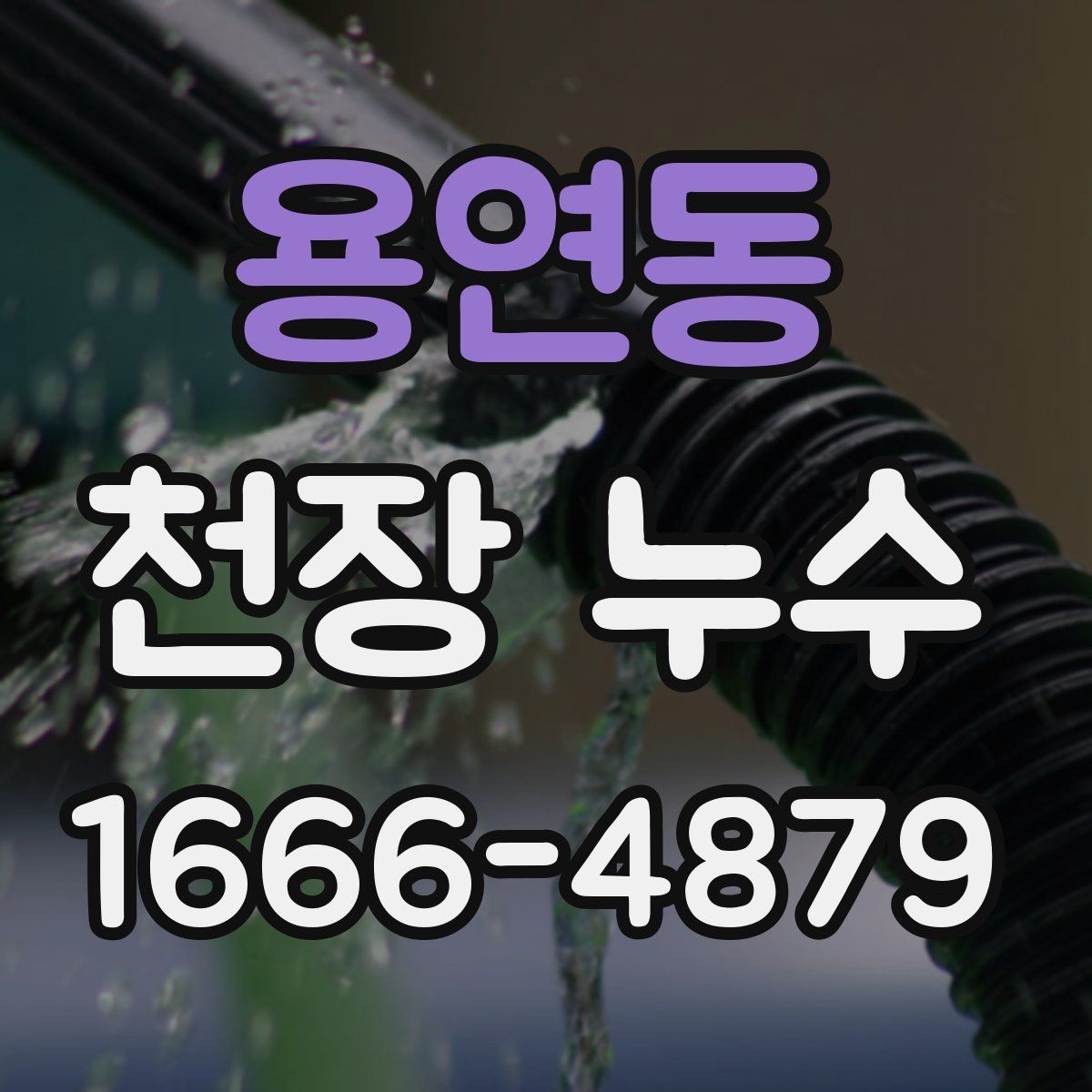 용연동 천장 누수