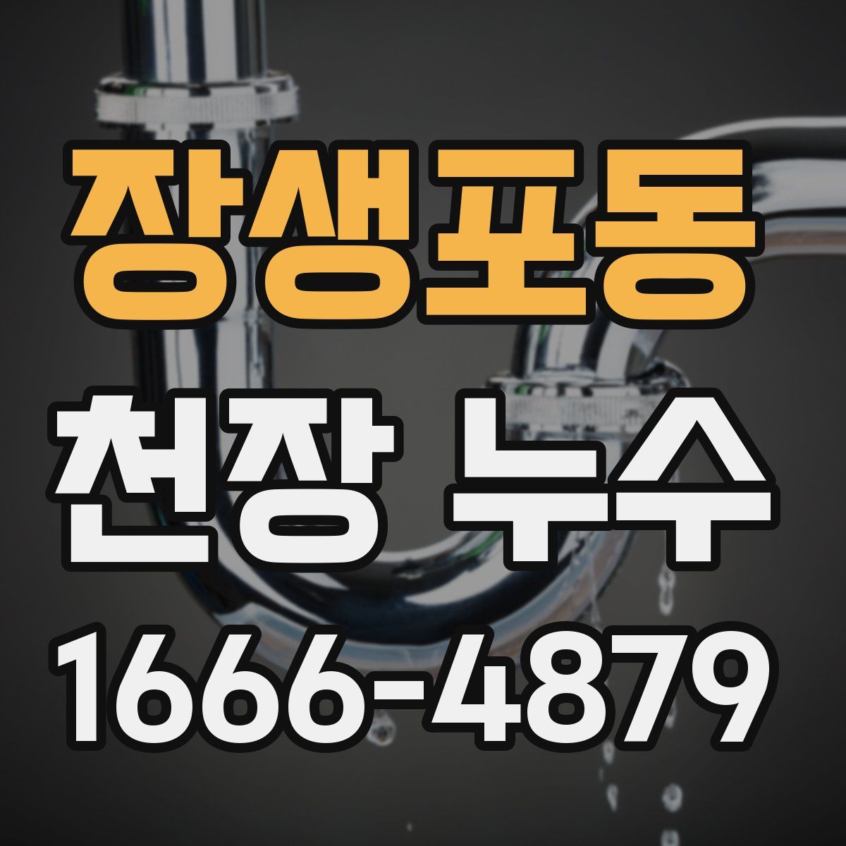 장생포동 천장 누수