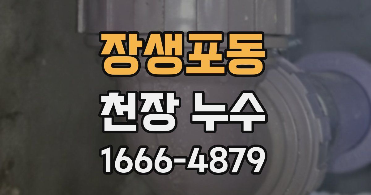 장생포동 천장 누수