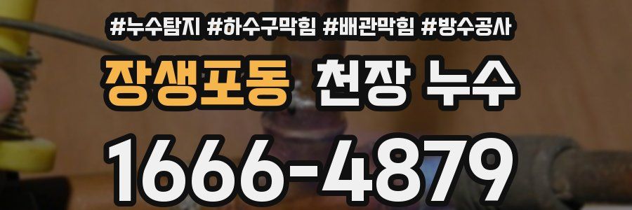 장생포동 천장 누수