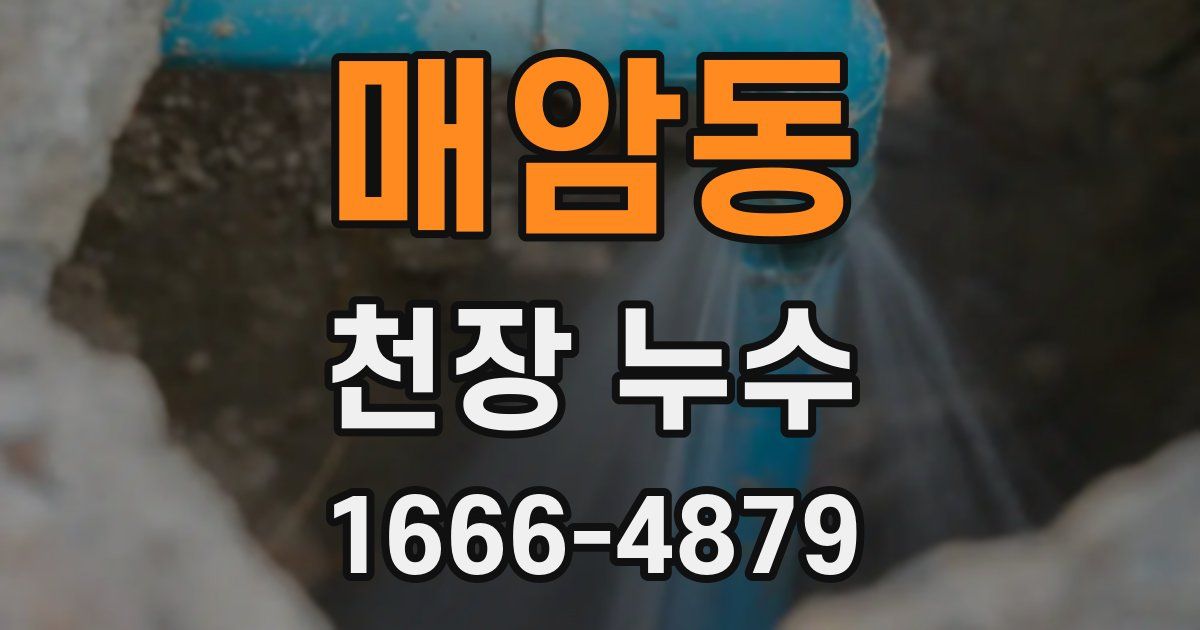 매암동 천장 누수