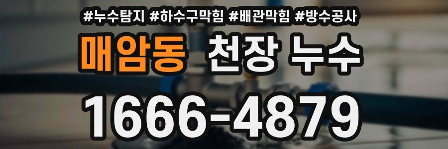 매암동 천장 누수