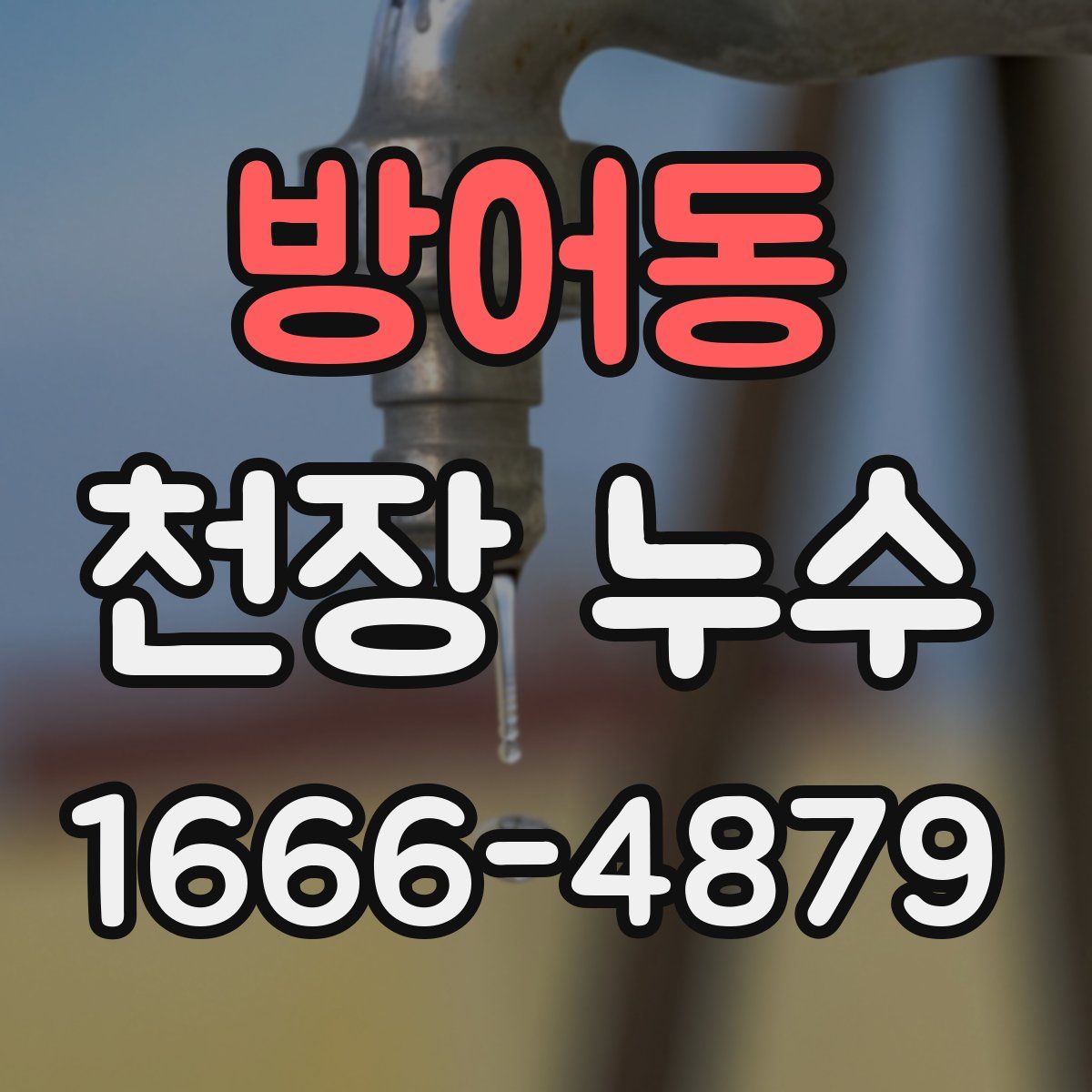 방어동 천장 누수