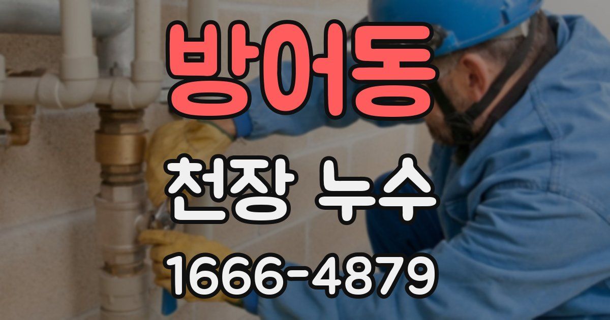 방어동 천장 누수