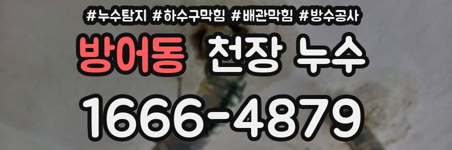 방어동 천장 누수